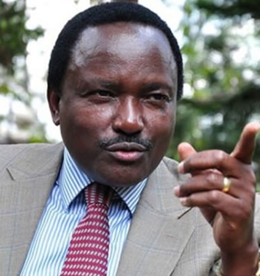 Bid To Remove Minister Unmasks Kalonzo’s Party