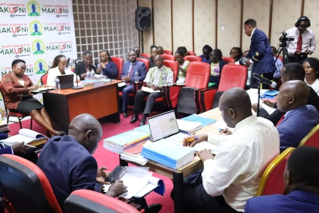 Defining Moment for Makueni Mango Value Chain