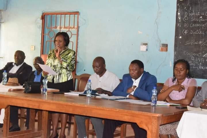 Kikima Cooperative probe begins