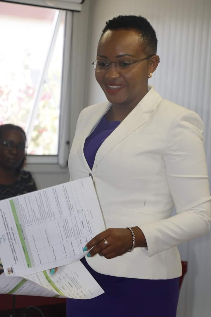 Re-drawing of Konza City buffer zone begins