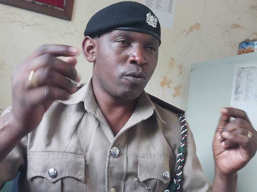 Folks, pregnancy audit and accountability idea is here!