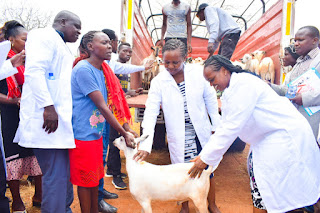 400 farmers in livestock booster plan