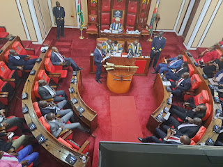 Verbatim report: Part 2