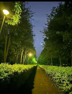 Final term blues for varsity students