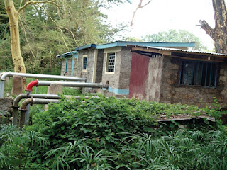 Feature: Feb- March 2012