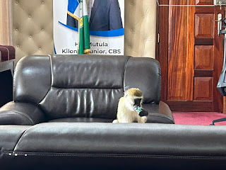 A wild visitor calls on Governor