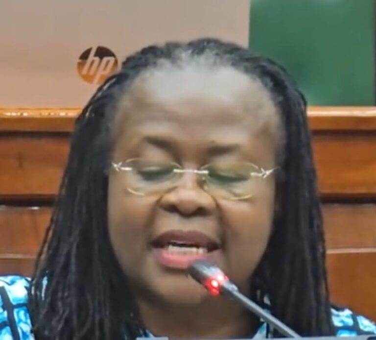 Rebuke For Wavinya Over Assembly Funds