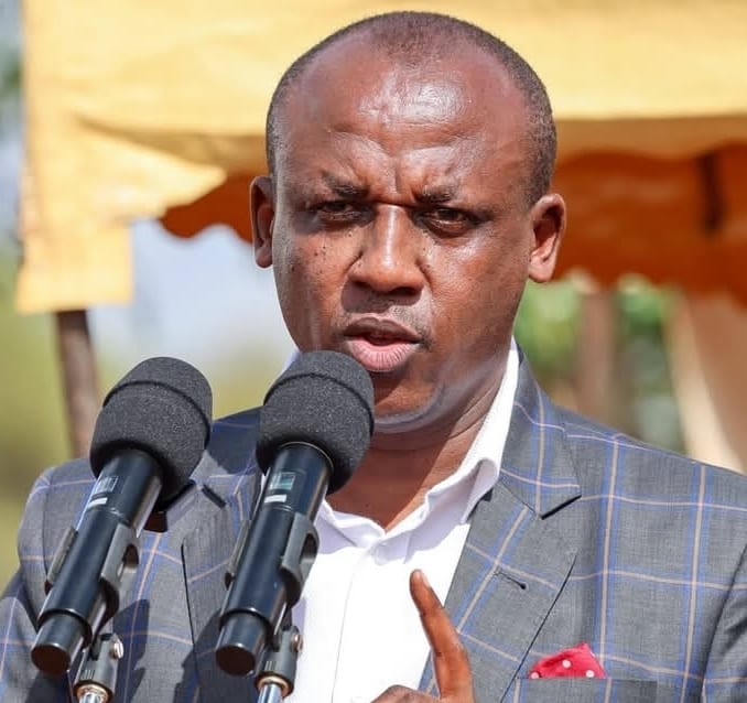 Mutula Acts to Confront Mango Value Chain Crisis